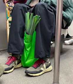Women VEJA DEKKAN RIPSTOP KAKI PIERRE